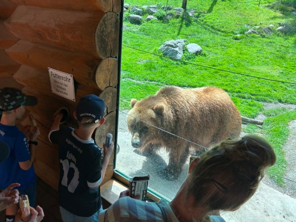 Freier Eintritt und Verpflegungsgutschein im Wildpark Lüneburger Heide